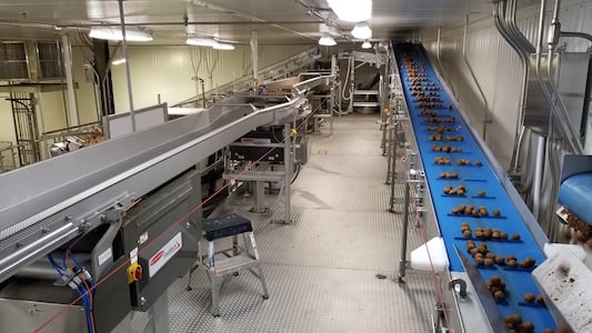 Belt and Vibratory Distribution Conveyor Systems