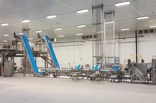 Specialty Transfer Conveyors for Weigh Scales and Vertical Form Fill Baggers