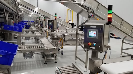Inspection and Tote Loading Systems