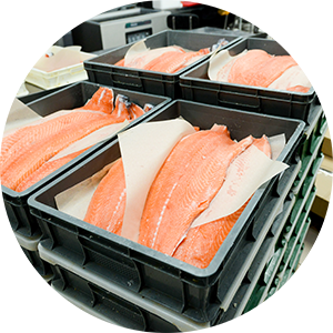 Salmon Circle
