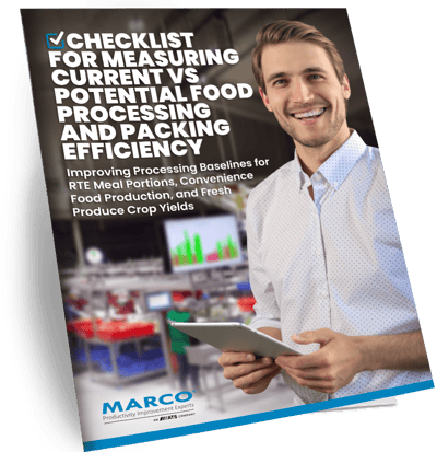 Mock eBook - Checklist for Measuring Current vs Potential Food Processing and Packing Efficiency