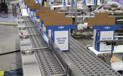 Activated Roller Belting Conveyors