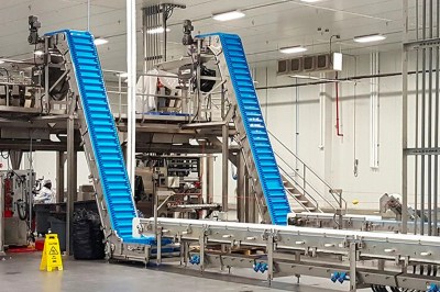 dual sanitary incline conveyor