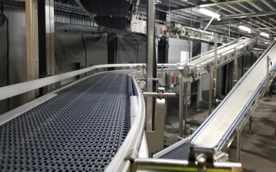 Complete Case Handling Conveyors