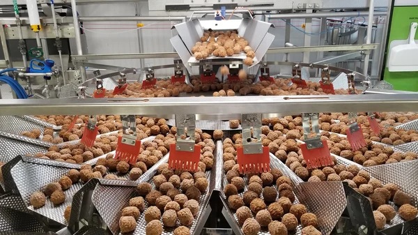 NCCASweighconvey Conveyor into weigh filler