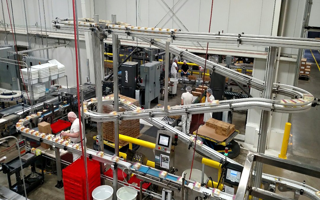 Alpine Conveyors
