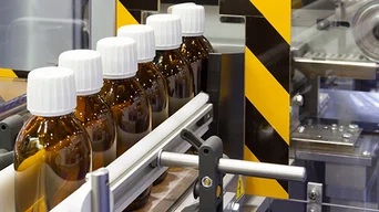 Pharma - 1 Fruit on fabric conveyor