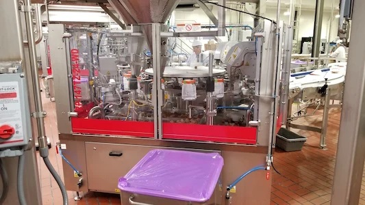Primary Packaging Fruit on fabric conveyor