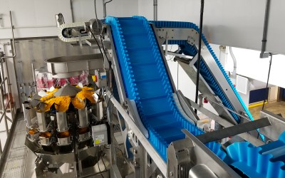 Bulk Handling Coveyors