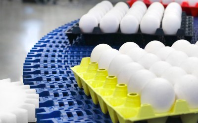 Why Conveying & Material Handling Are the Hidden Bottleneck in Packaging Lines By NCC Automated Systems