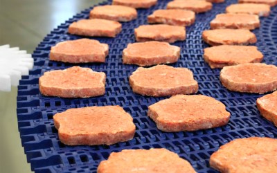 Meeting USDA & High-Risk Hygiene Standards with NCC Automated Systems