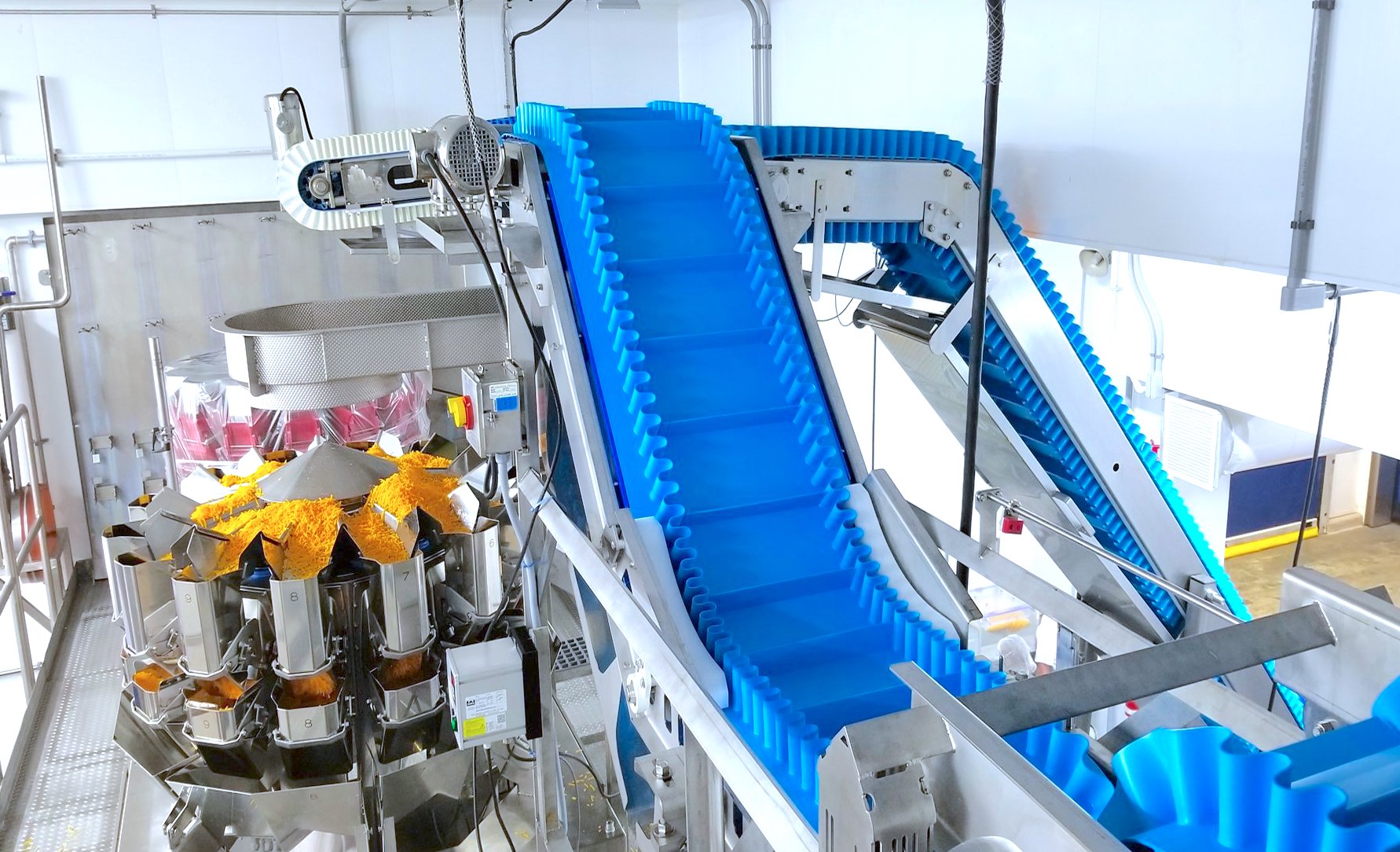 sanitary conveyors for packaging systems_NCC Food packaging line integration