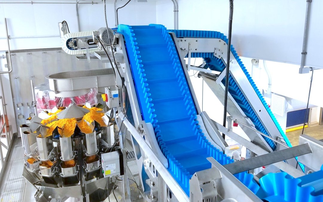 More Than Just Compliance: How Advanced Sanitary Conveyors Drive Profitability and Brand Trust