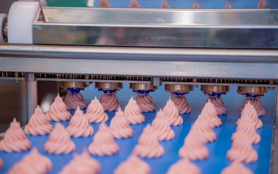 Sanitary Conveyors That Don’t Slow Down Production