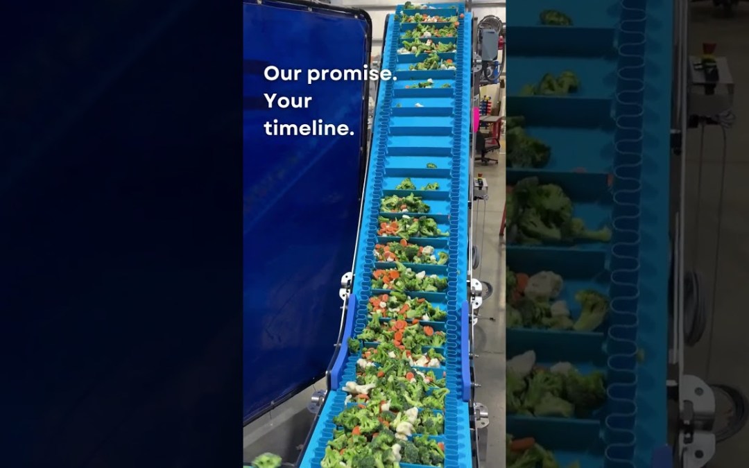 NCC Sanitary Conveyors for #Confectionery and #Produce #Packaging Lines