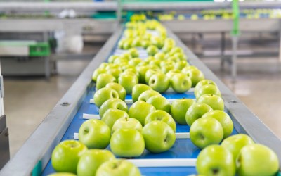 Protect Freshness & Food Safety with NCC Automated Systems