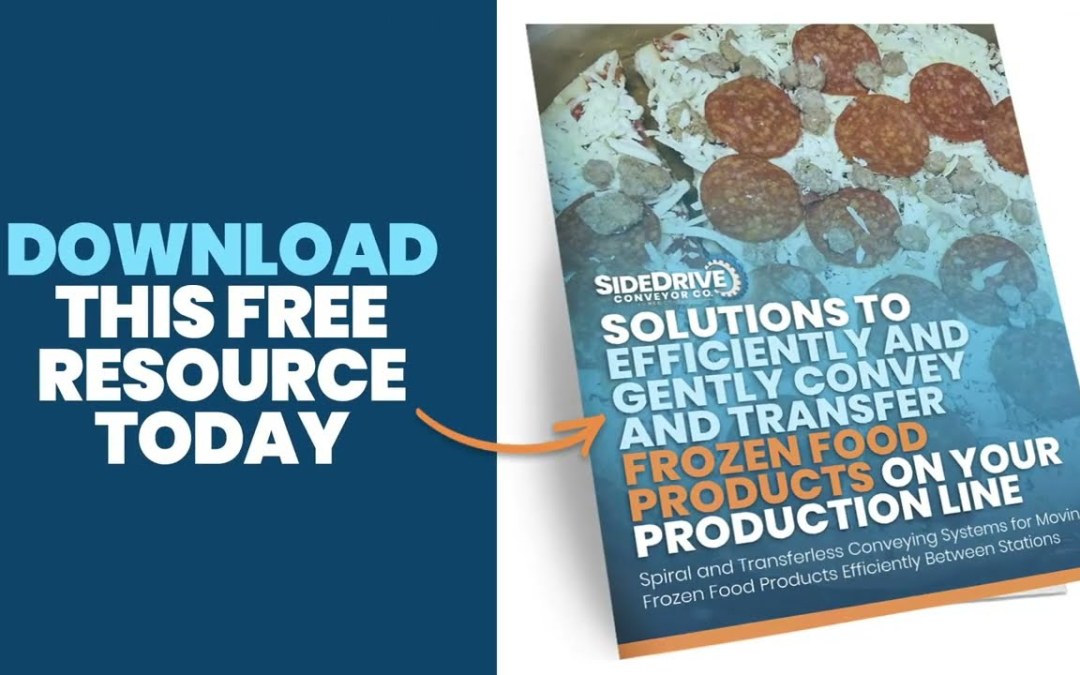 Solutions to Efficiently, Gently Convey and Transfer Frozen Food Products
