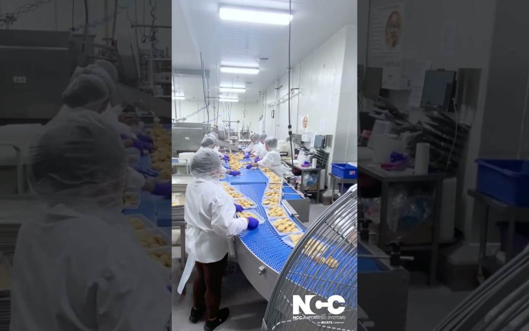 Spiral and Fryer Infeed #conveyorsystem for #Rangoon Production by NCC Automated Systems