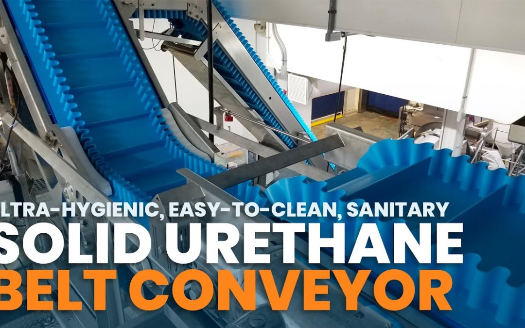 Solid Urethane Tensionless Ultra-Hygienic Belt Conveyors | NCCAS