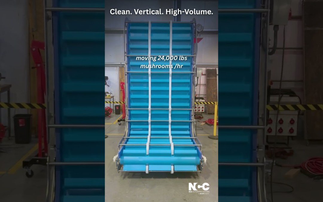 NCC Z-Incline Conveyor for Fresh Produce