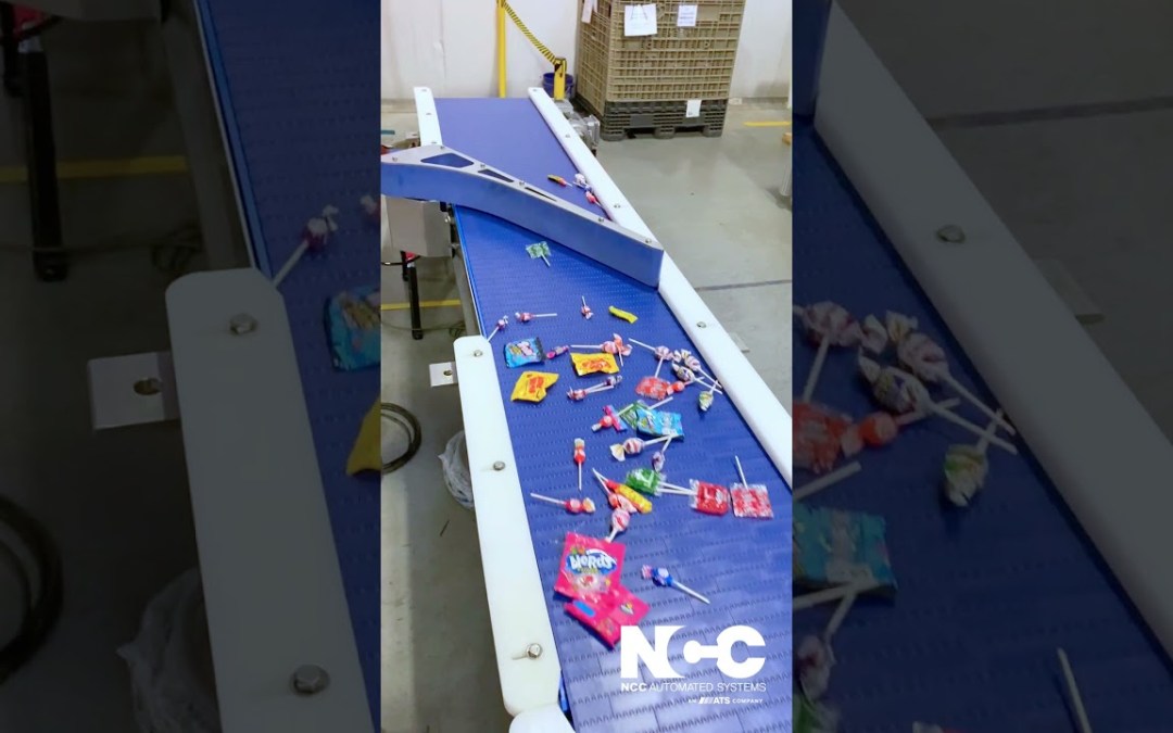 NCC Custom Sanitary Incline & Cross-Over #conveyorsystem for Pet Treat Production