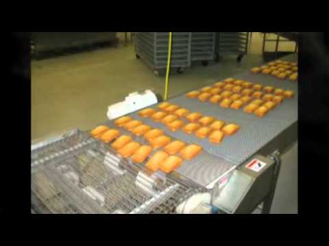 Transfer Conveyor for Small and Delicate Products