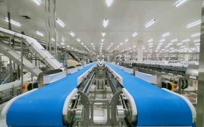 Food-Grade vs Washdown Conveyors: What You Need to Know