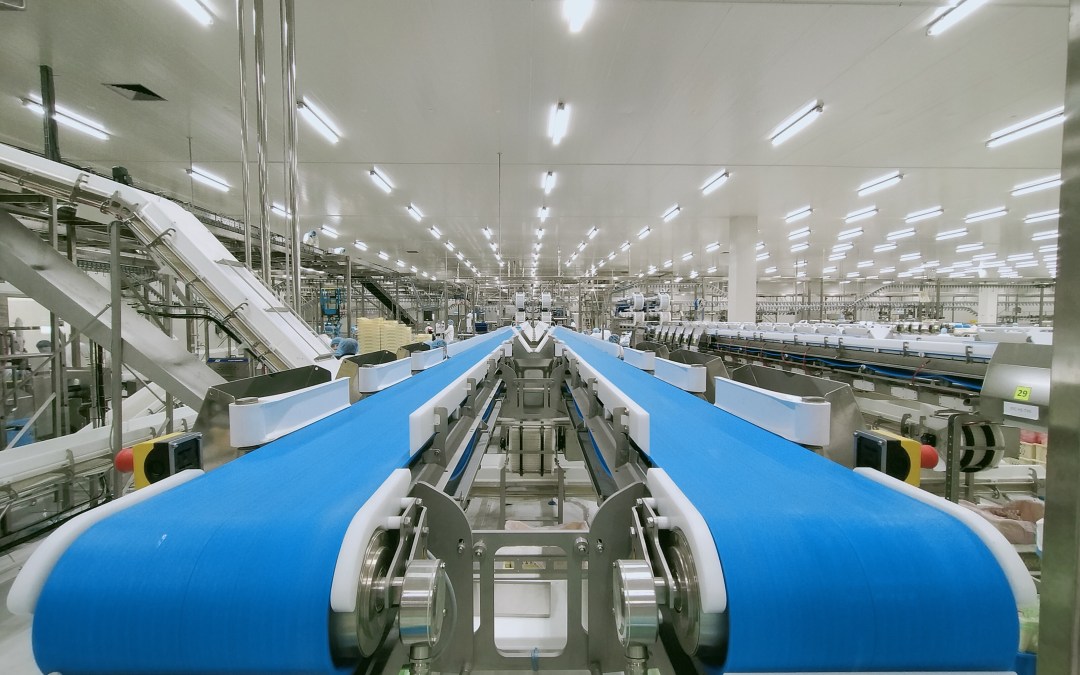 Food-Grade vs Washdown Conveyors: What You Need to Know