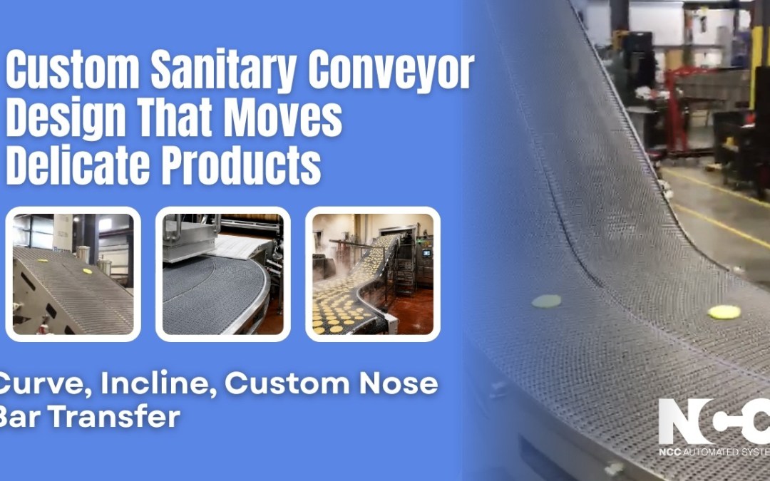 Custom Sanitary Conveyor Design to Move Delicate Product