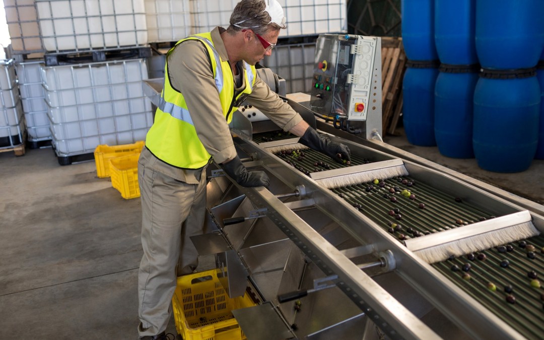 Why Your Packaging Line OEE Isn’t a Machine Problem